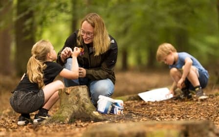 Bos BSO Doorn foto 7