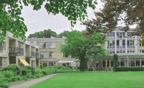 Bos BSO Doorn foto 8