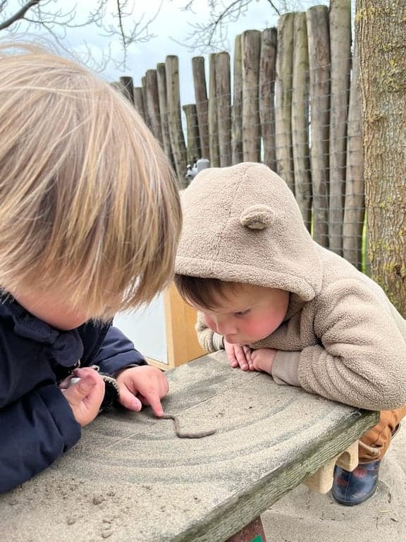 Op d'n Buiten foto 10