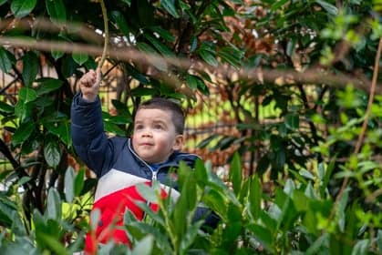 kinderdagverblijf Bommes