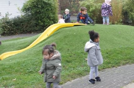 Peuterspelen De Vuurvogel