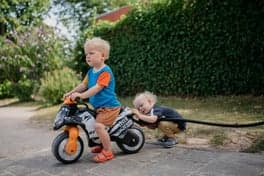 Peuterspelen De Vuurvogel foto 7