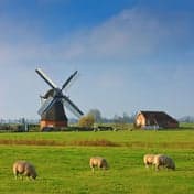 De Jonge Held foto 8