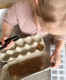 Zo aan de Jan van Nassaustraat foto 6