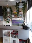 de Wiebeltjes foto 5