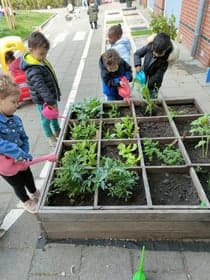 Kinderdagverblijf ChouChou foto 10