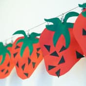 KDV Bloesemboom foto 9