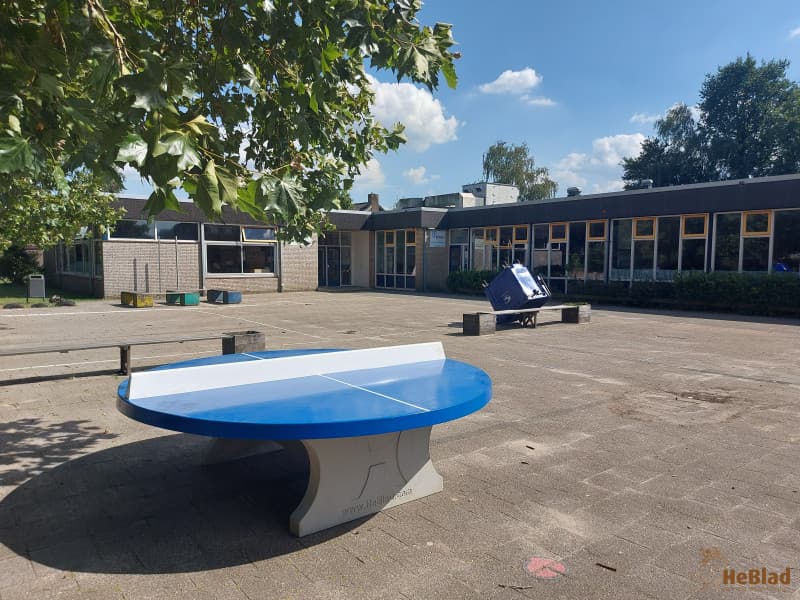 De Regenboog foto 10