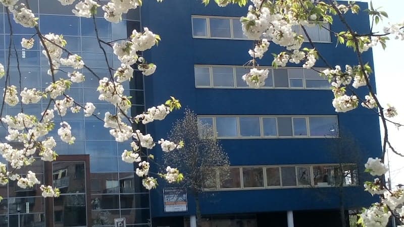 Fris! Kinderdagverblijven Sport BSO-WSV 2