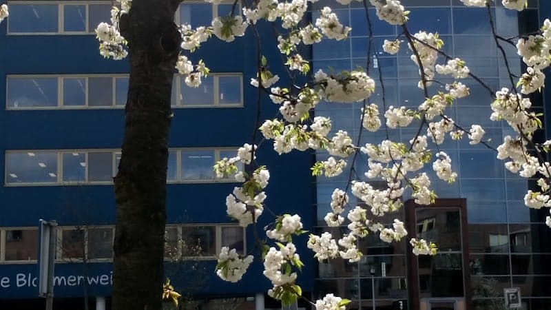 Fris! Kinderdagverblijven Sport BSO-WSV foto 4