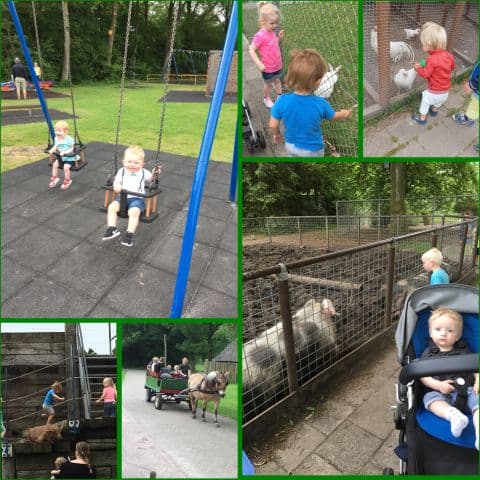 Thuishuis It Bernetreintsje foto 4