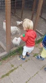 Thuishuis It Bernetreintsje foto 5