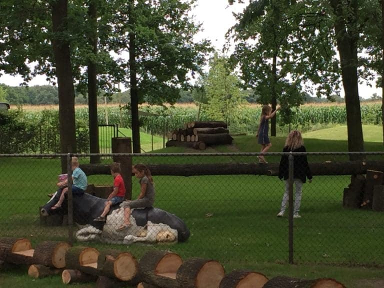 Kinderopvang Elsendorp foto 9