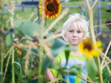 Kidswereld Nigtevecht foto 4