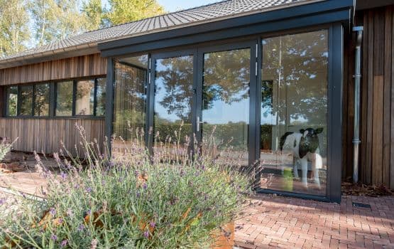 KDV De Beestenboel Kloosterweg foto 10