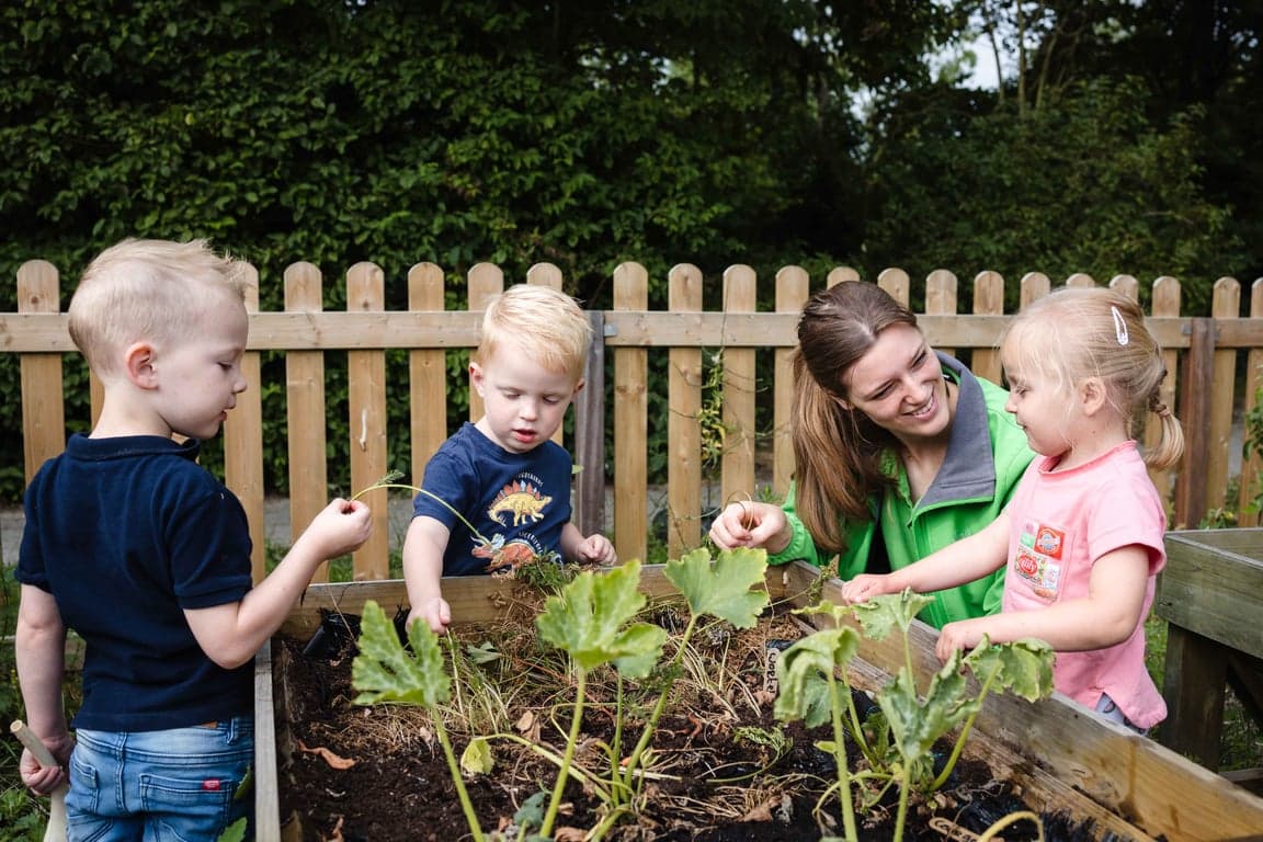 Wiedewei Sommelsdijk 3