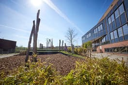 Doomijn BSO Biezenplein