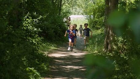 Het Zonnelicht foto 6