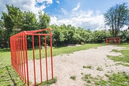 BSO Heppie Beezzz foto 9