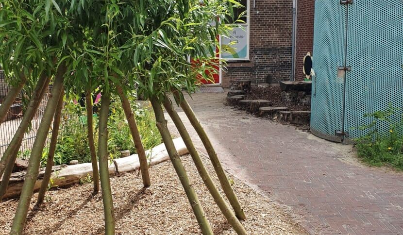 Hero BSO Nagtzaamstraat foto 7