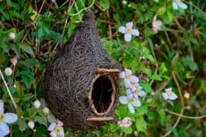 PeuterStart Vogelnest foto 4