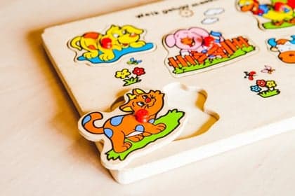 De Nieuwe Nachtegaal foto 8