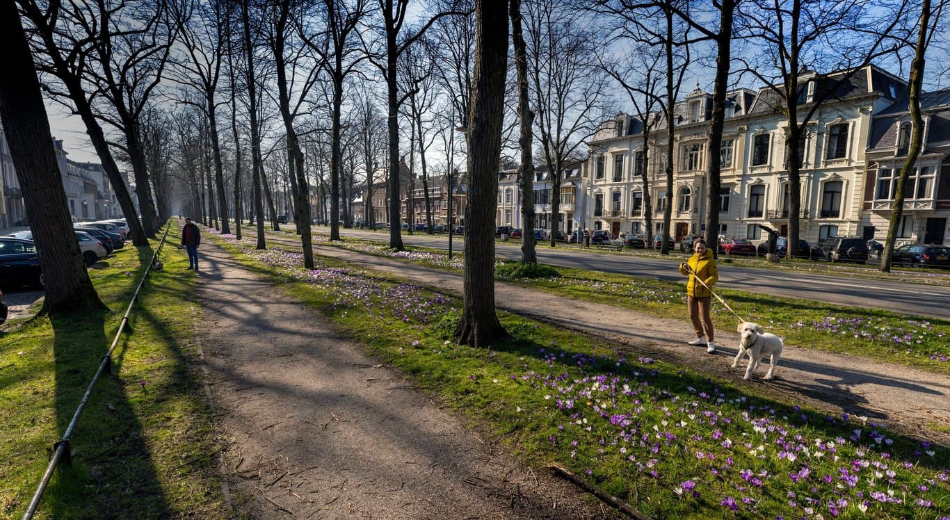 Heppienest B.V. foto 7