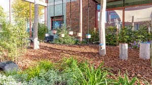 Kindergarden Hoofddorp Floriande foto 9