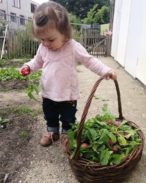 Hestia Rivierenbuurt B.V. foto 6