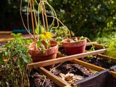 Club Basker - Vondelpark foto 5