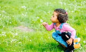 Kinderopvang Knotwilg 3