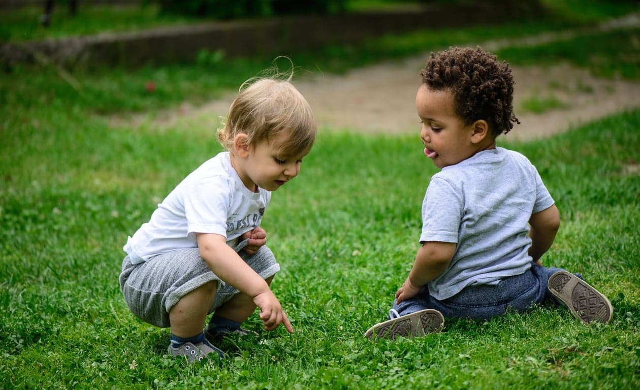 Kinderopvang Knotwilg foto 8