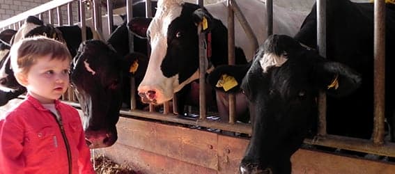 Kinderopvang Ut Buurke B.V. 2