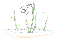 Het Peuterhuis foto 4