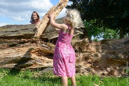 Kinderopvang De Boerderij B.V. 2