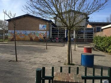 De Zeesterretjes foto 4