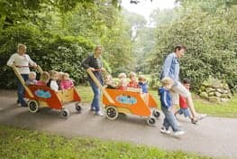 Vlindertjes en Regenboogjes