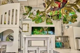 Vlindertjes en Regenboogjes foto 4