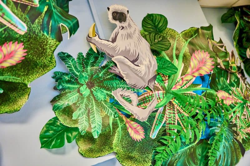 Vlindertjes en Regenboogjes foto 5