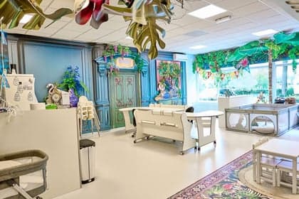 Vlindertjes en Regenboogjes foto 6