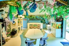 Vlindertjes en Regenboogjes foto 7