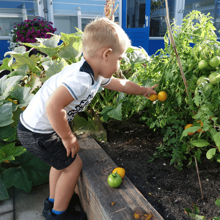 KDV De Waterval foto 4