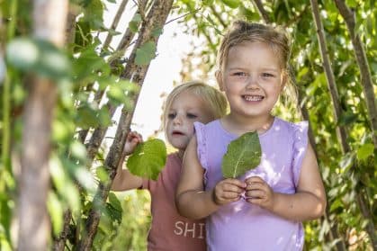 Wiedewei Gravinnelaan Oud-Beijerland foto 7