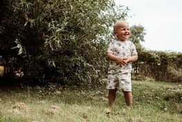 Klein Steijntje foto 9