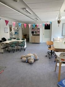 Klein Steijntje foto 10