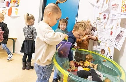 peuteropvang De Triangel