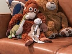 Basker - Maliebaan foto 6