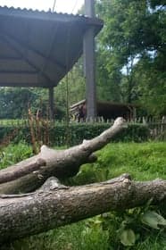 Kindercentrum Mallemolen foto 7