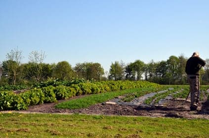 't Hummelhûs Kinderopvang B.V. foto 4