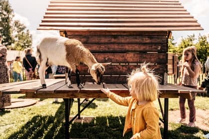 Agrarisch kinderdagverblijf Kakelbont foto 5